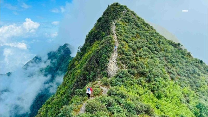 Sống lưng khủng long Tà Xùa vươn mình giữa mây