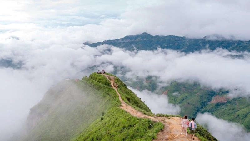 Tà Xùa mờ ảo trong biển mây sống lưng khủng long