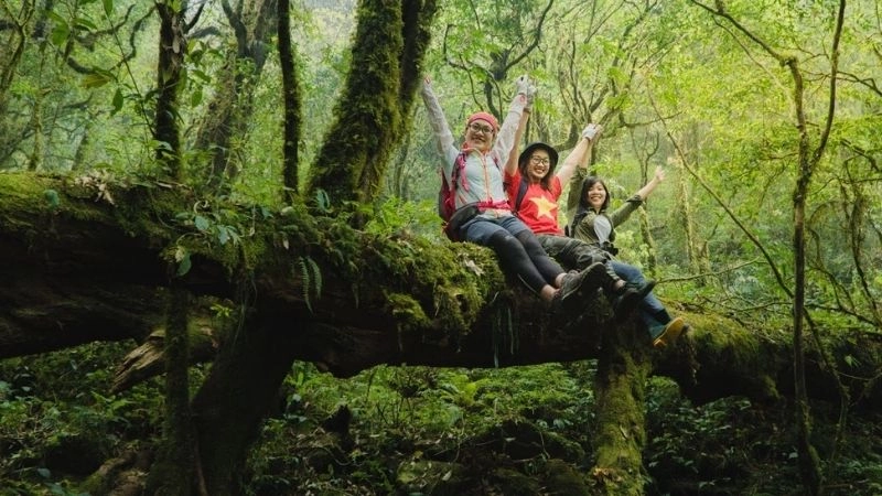 Vượt thử thách để chạm đỉnh Pu Ta Leng mây trời