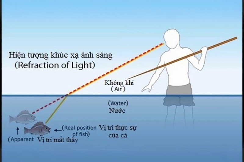 Giải thích tại sao ánh sáng lại bị khúc xạ rõ ràng dễ hiểu