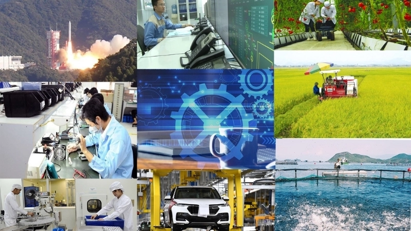 Khi nào nên cần bằng đại học và khi nào có thể học công nghệ mới mà không cần