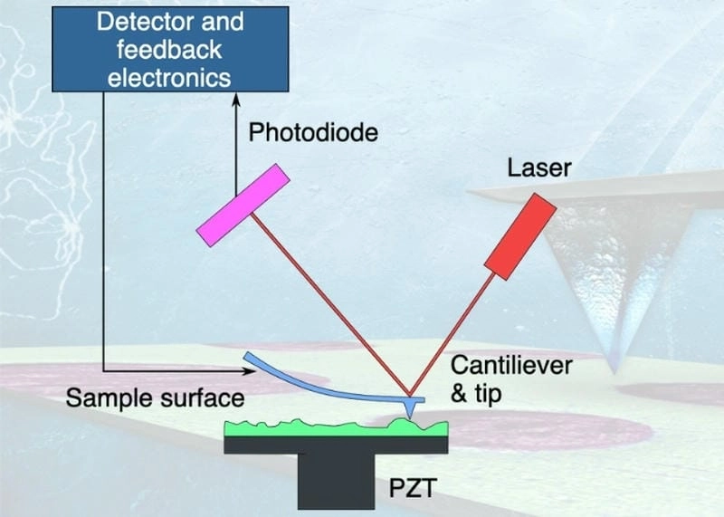 Hiểu rõ nguyên lý hoạt động và tạo hình ảnh của kính hiển vi AFM