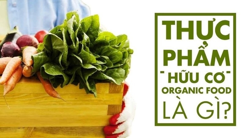 Thực phẩm hữu cơ là gì và tại sao nên chọn?