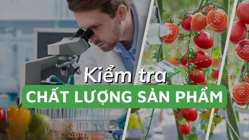 Dựa vào cảm quan để đánh giá chất lượng