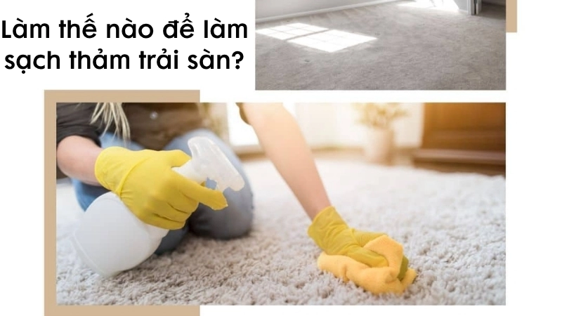 Làm thế nào để làm sạch thảm trải sàn?