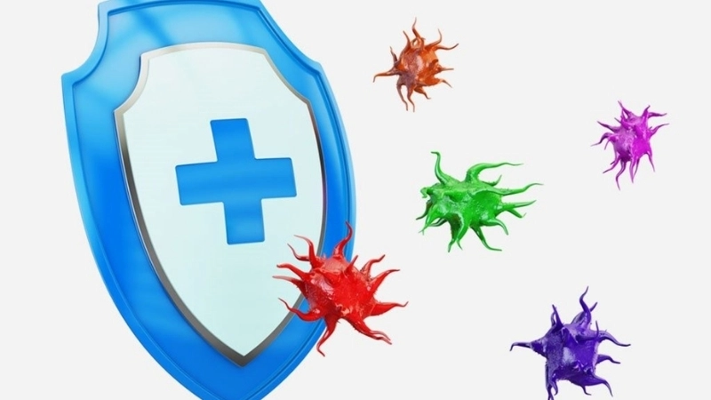 Tầm quan trọng của một hệ miễn dịch khỏe mạnh