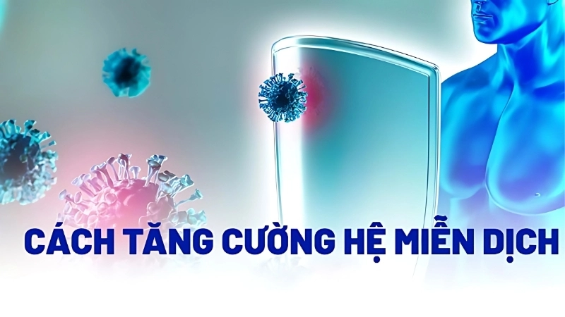 Cách tăng cường hệ miễn dịch tự nhiên một cách hiệu quả