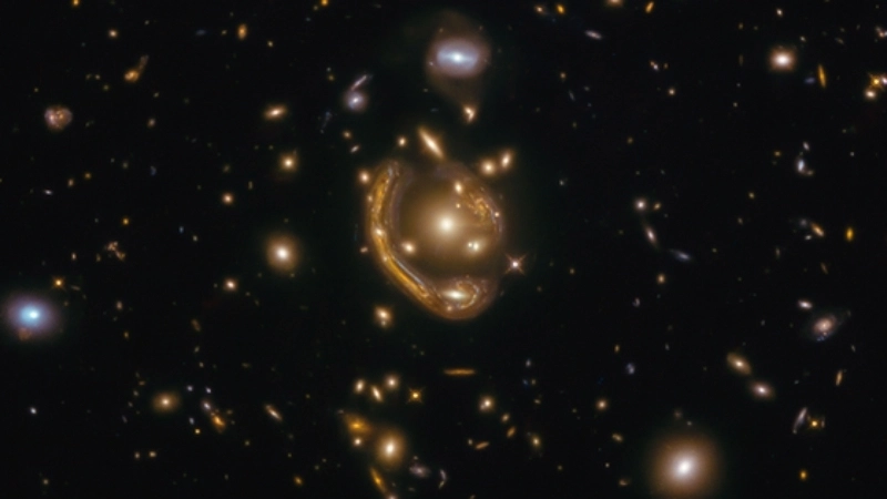 Lý thuyết mô phỏng là gì?