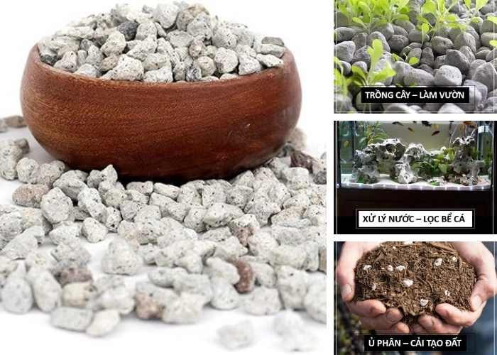 Tìm hiểu địa chất học và ứng dụng của đá bọt