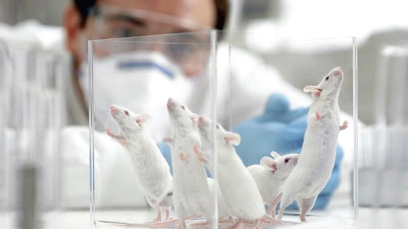 Nghiên cứu động vật tiến bộ khoa học nhân loại