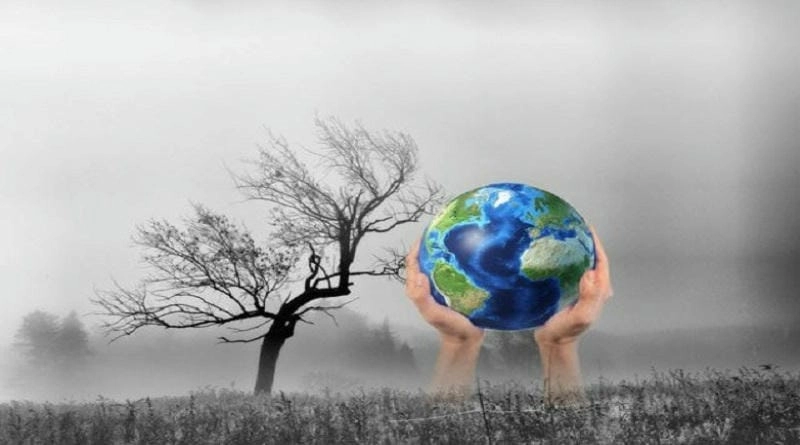 Lượng mưa toàn cầu thay đổi do đâu phụ thuộc nhiều yếu tố môi trường