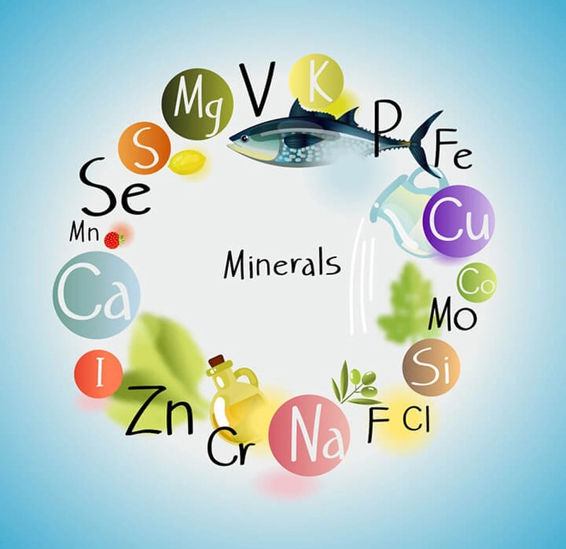 Khám phá tầm quan trọng của sự cân bằng nguyên tố cho sức khỏe