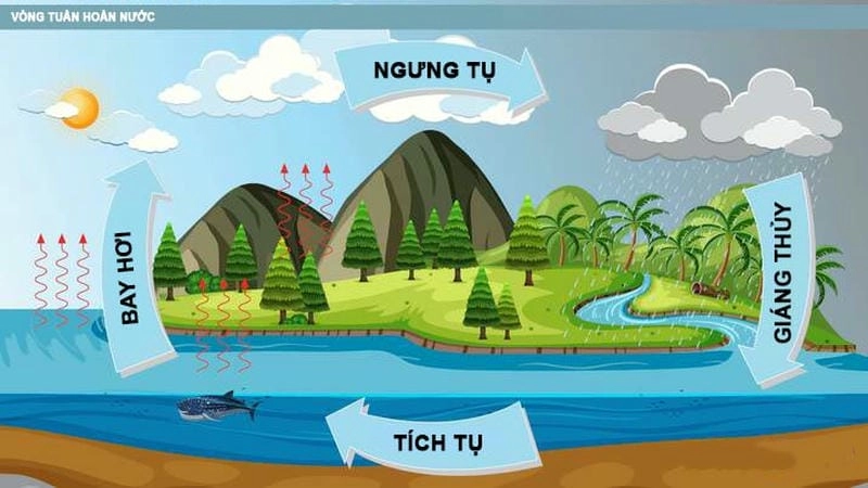 Khái niệm rõ ràng về bay hơi là gì