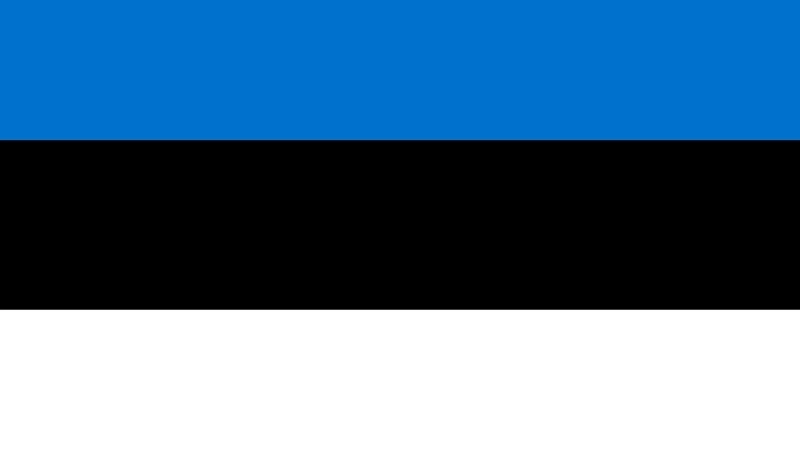 Đặc điểm hình dạng của quốc kỳ Estonia hiện tại