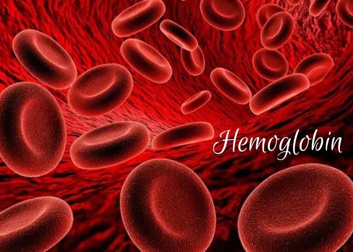 Khám phá Khái niệm Hemoglobin là gì
