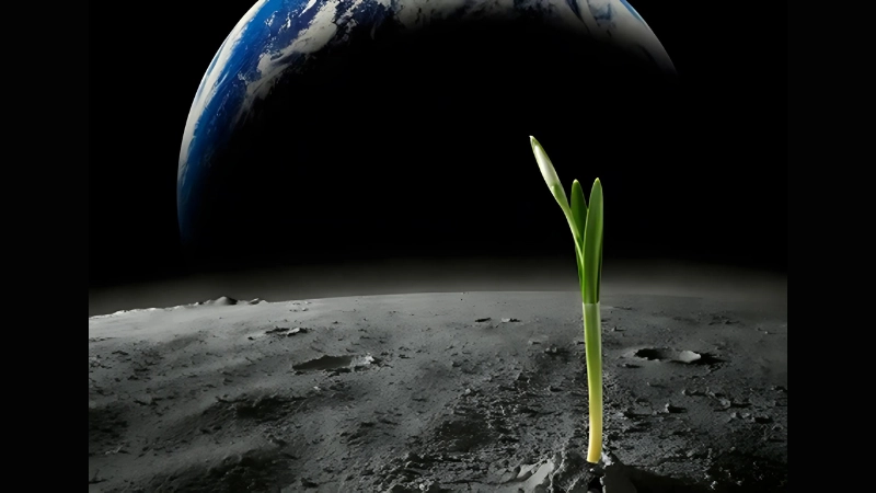 Sự sống ngoài Trái Đất có thật sự tồn tại