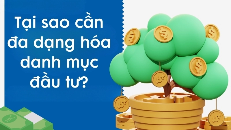 Tại sao cần đa dạng hóa danh mục đầu tư?