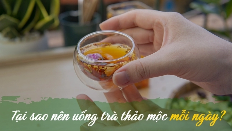 Tại sao cần uống trà thảo mộc?