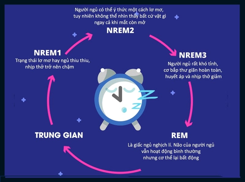 Hiểu rõ giấc ngủ và các giai đoạn củng cố trí nhớ