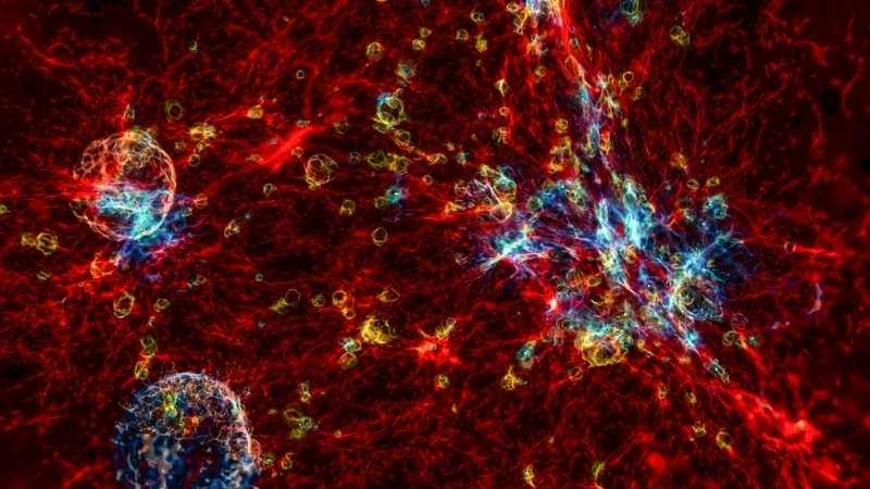 Sự trùng khớp chặt chẽ giữa kết quả quan sát thực tế