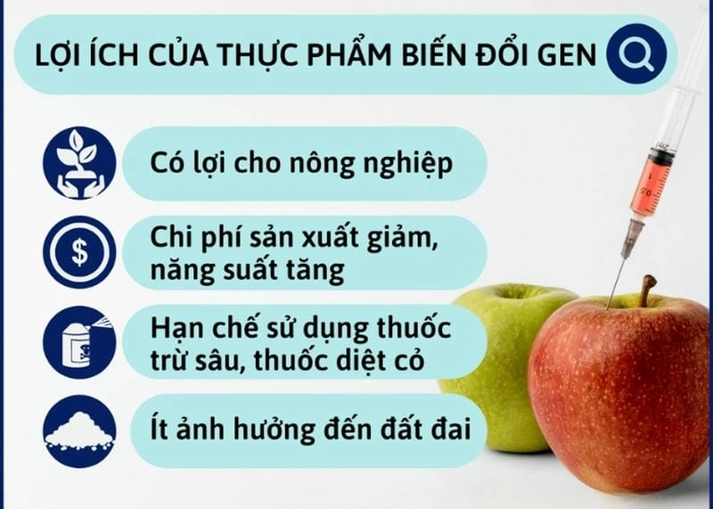 Tìm hiểu đánh giá khoa học về thực phẩm GMO