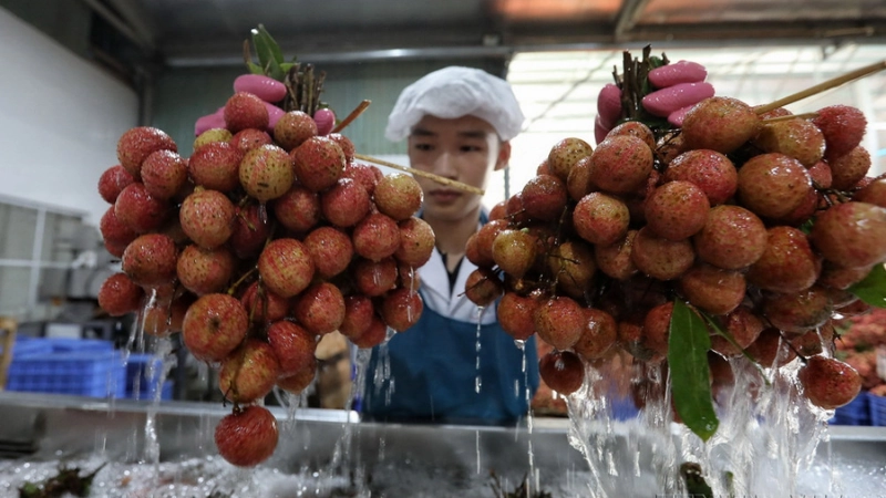 Thực phẩm công nghệ cao mang lại trải nghiệm khác biệt