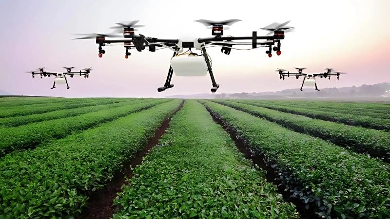 Ứng dụng AI nâng cao hiệu quả sản xuất nông nghiệp