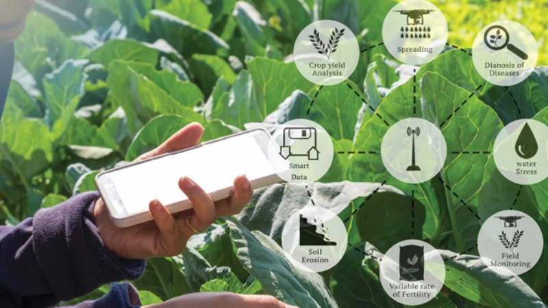 Ứng dụng blockchain nông nghiệp mở ra tương lai bền vững