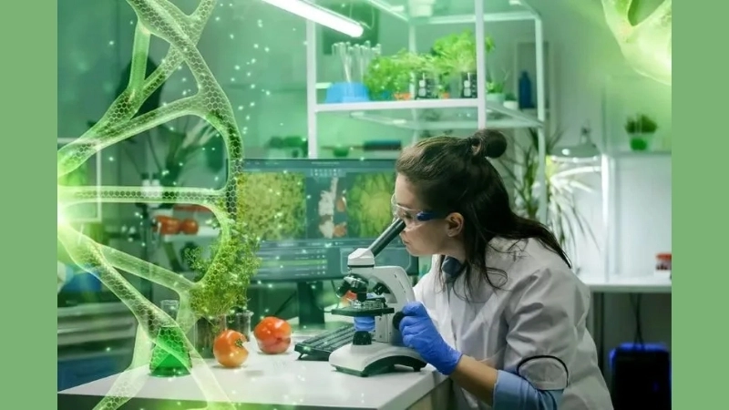 Ứng dụng của công nghệ sinh học trong đời sống