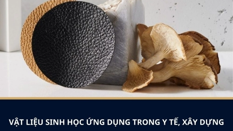 Vật liệu sinh học là gì và vai trò trong y học hiện đại