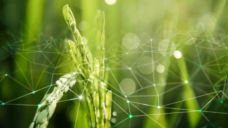 VR thay đổi cách tiếp cận nông nghiệp truyền thống