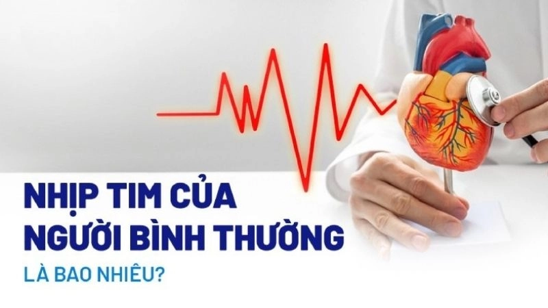 Nhịp tim lúc nghỉ ngơi là số lần tim đập mỗi phút khi một người không hoạt động
