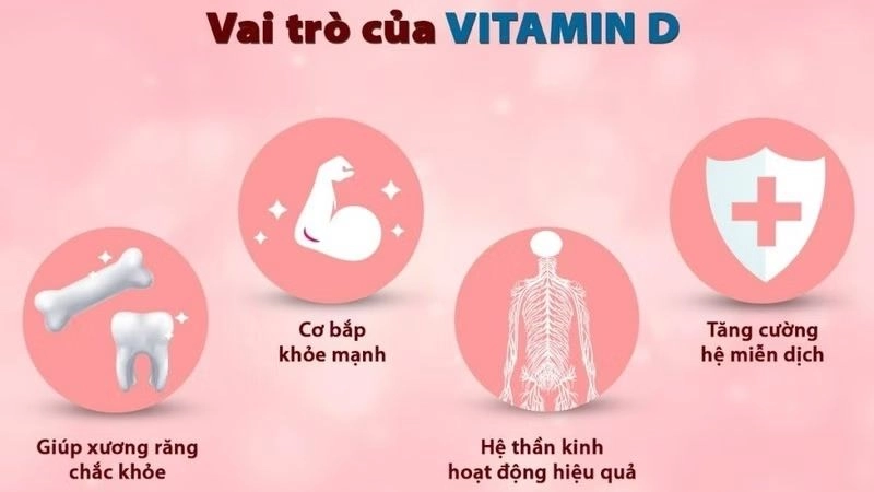 Vai trò của vitamin D đối với cơ thể
