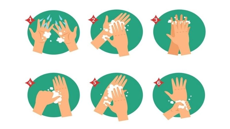 Hãy thực hiện theo 6 bước sau đây theo khuyến cáo của WHO