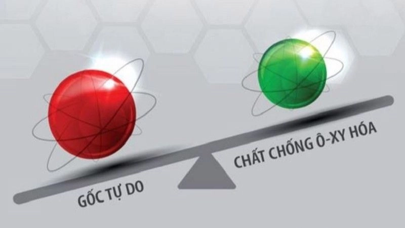 Lợi ích của chất chống oxy hóa với cơ thể