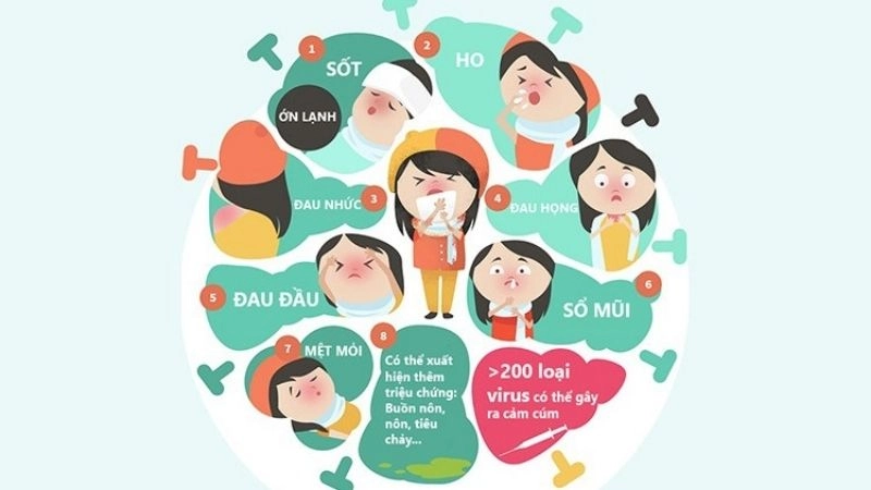 ác triệu chứng cảm lạnh thông thường thường xuất hiện theo từng giai đoạn.