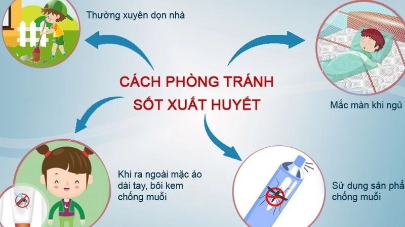 Cách phòng tránh bệnh sốt xuất huyết