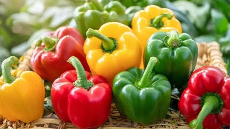 ớt chuông giúp thúc đẩy sản sinh collagen, tăng độ ẩm và đàn hồi cho da