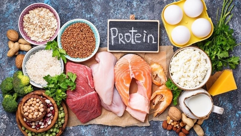 Protein là một hợp chất hữu cơ phức tạp, được cấu thành từ các chuỗi axit amin