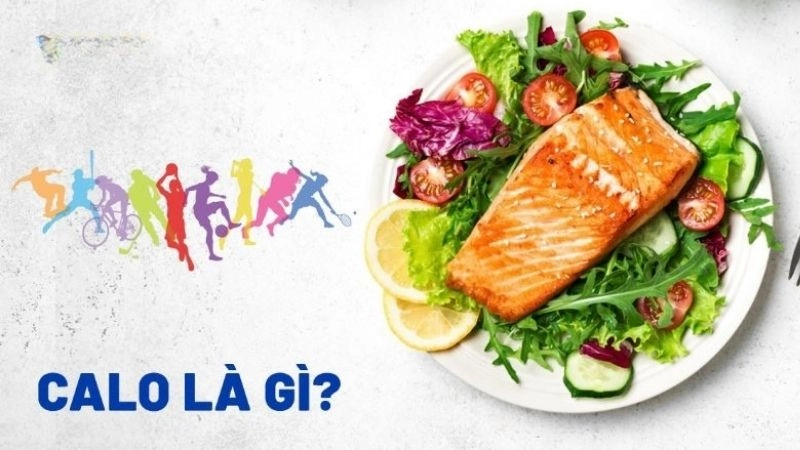 Calo còn gọi là calories