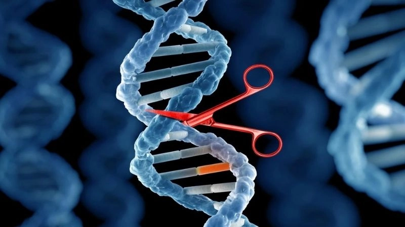 Chẩn đoán dựa trên CRISPR hứa hẹn phát hiện nhanh chóng và chính xác