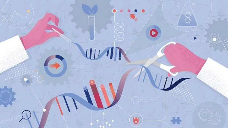 Liệu pháp gen là một bước đột phá lớn và hứa hẹn trong điều trị bệnh di truyền