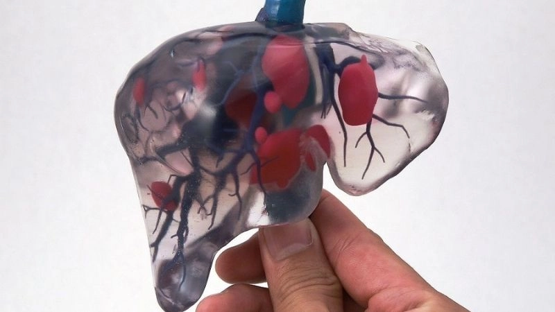In 3D sinh học nội tạng là một công nghẹ ứng dụng để tái tạo nộitajng
