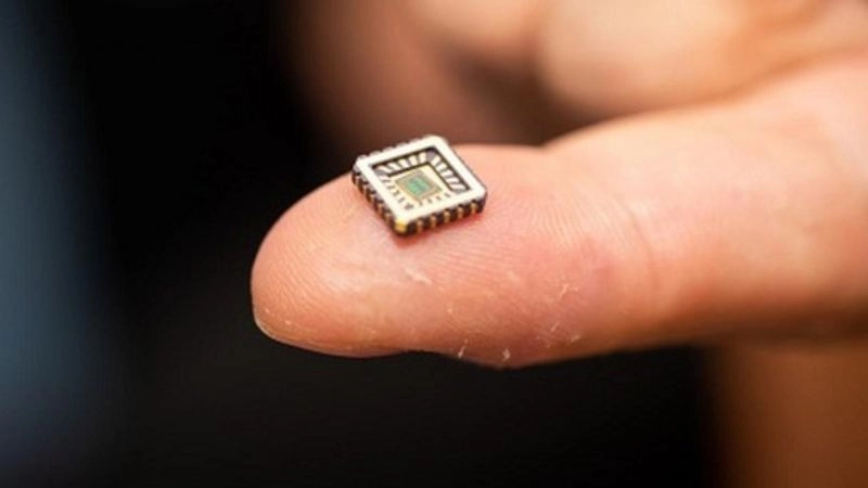 Tái tạo nội tạng bằng một con chíp