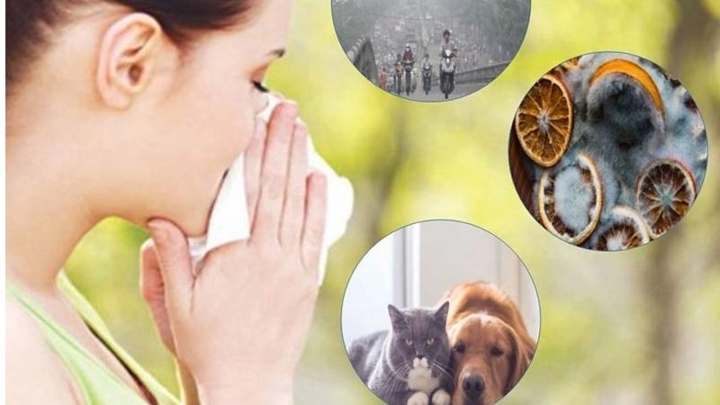 Dị ứng hô hấp có thể biểu hiện ở nhiều mức độ khác nhau,