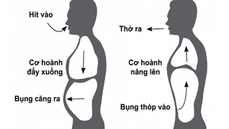 Thở bằng cơ hoành giúp tăng cường sức khỏe phổi