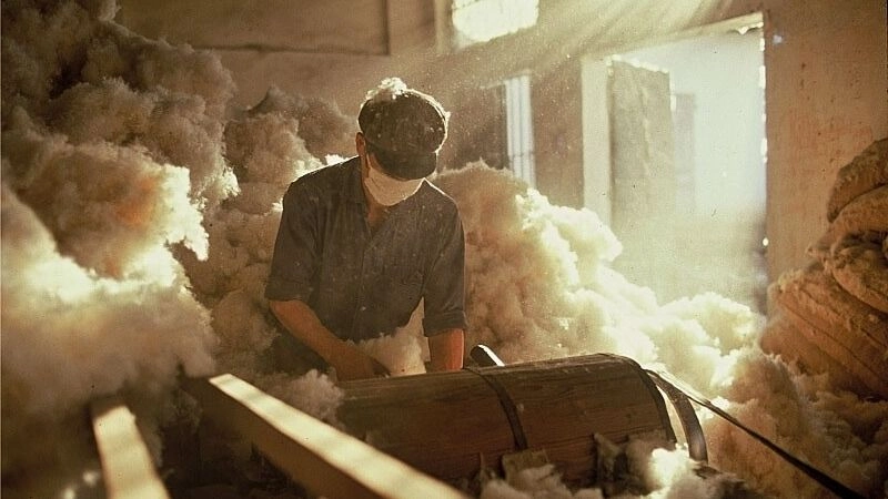 Cơ chế gây hại của các chất trong môi trường nghề nghiệp