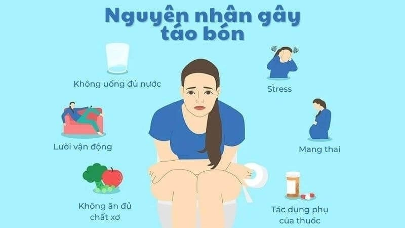  táo bón xuất hiện do nhiều nguyên nhân khác nhau