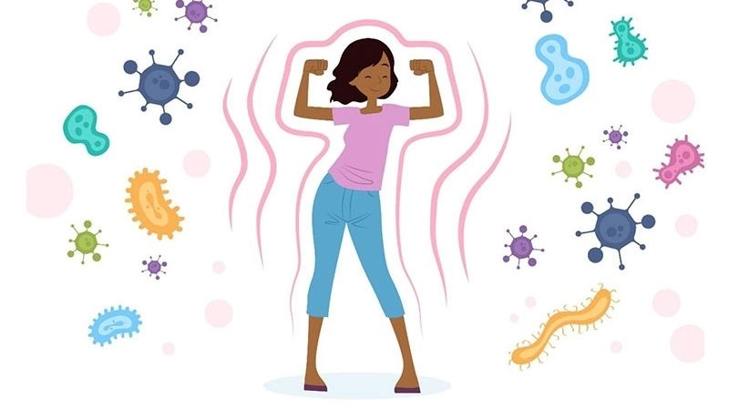 Men vi sinh sống giúp tăng cường hệ miễn dịch cho người sử dụng