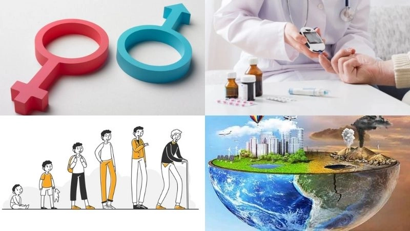 Các yếu tố như giới tính, tuổi tác, các bệnh lý khác, và các yếu tố môi trường cũng có thể góp phần gây ra hoặc làm trầm trọng thêm các triệu chứng đau cơ xơ hóa